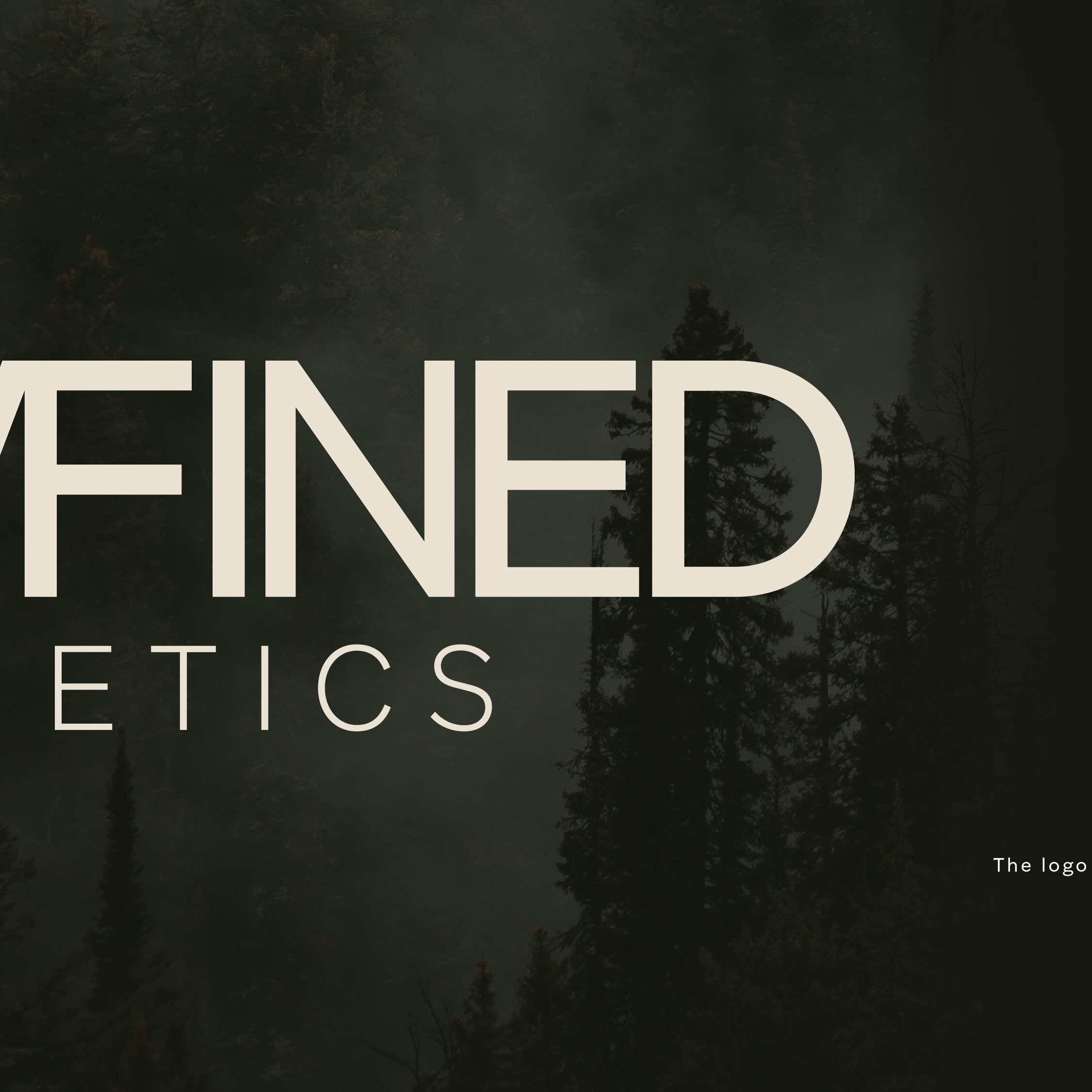 Redavfined Aesthetics social carousel slide 2