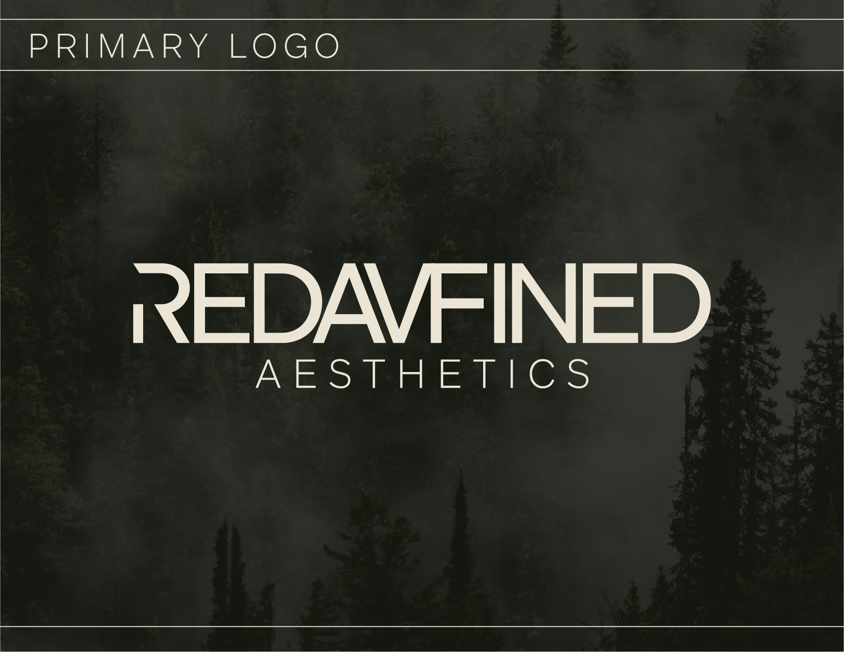 Redavfined primary logo guide page